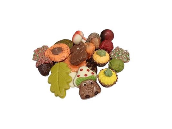 Seizoen chocolade herfst 100gr